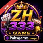 ZH333 Game
