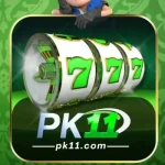 PK11 Game